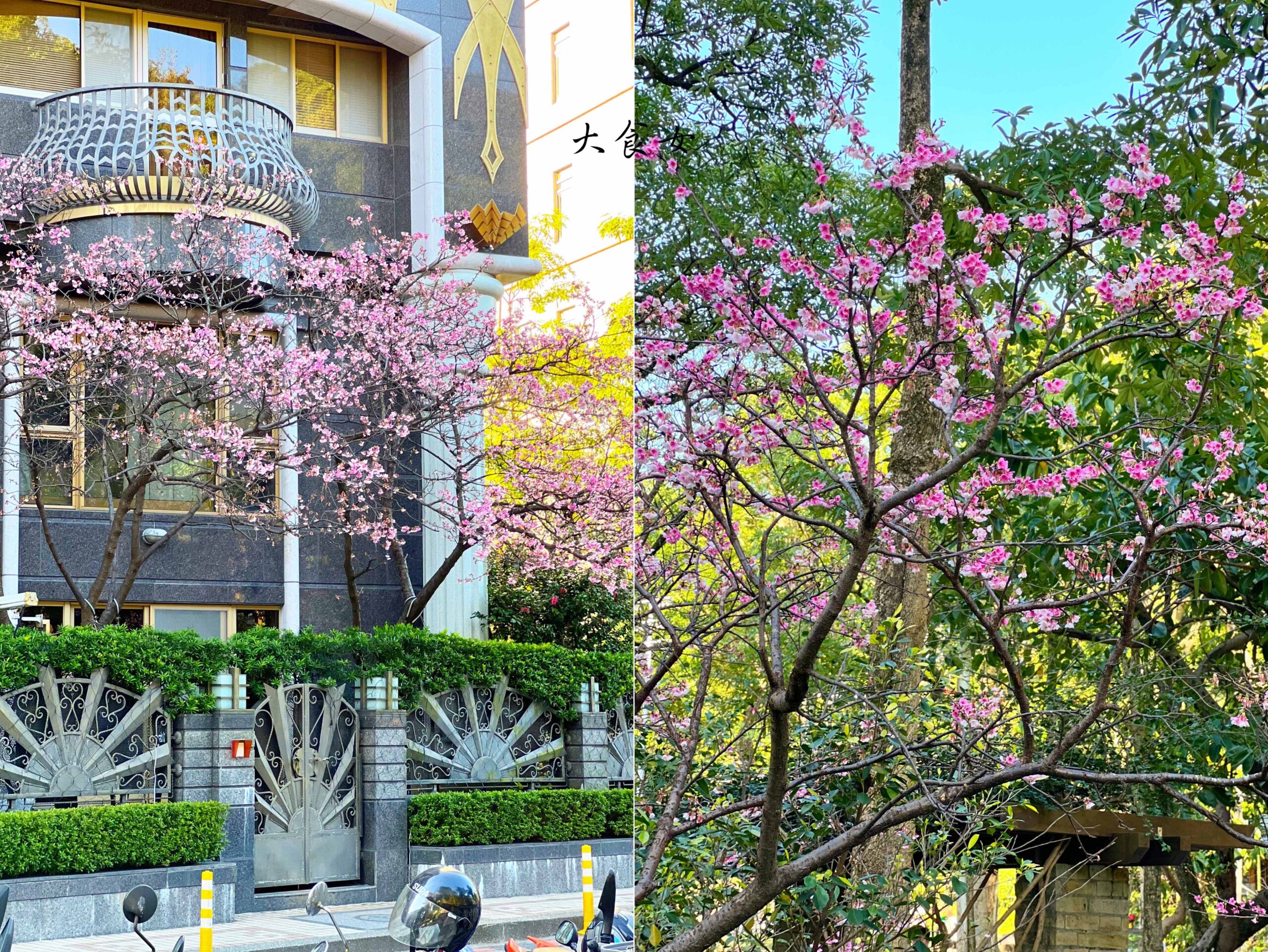 % ARABICA-日本京都必訪咖啡廳來台灣！現在還看得到櫻花！（% ARABICA菜單） 信義區咖啡廳/象山美食/台北咖啡廳/信義區下午茶 @大食女 in Wonderland